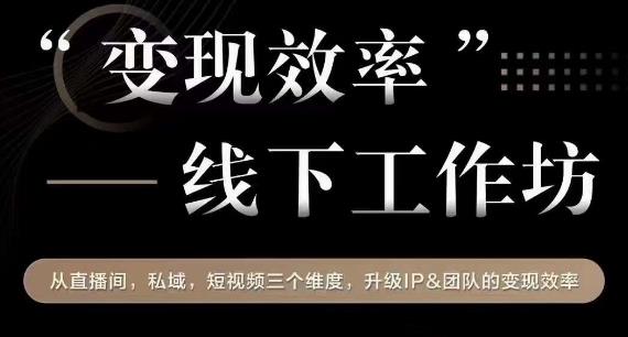 变现效率线下工作坊，从‮播直‬间、私域、‮视短‬频‮个三‬维度，升级IP和团队变现效率-网创先锋