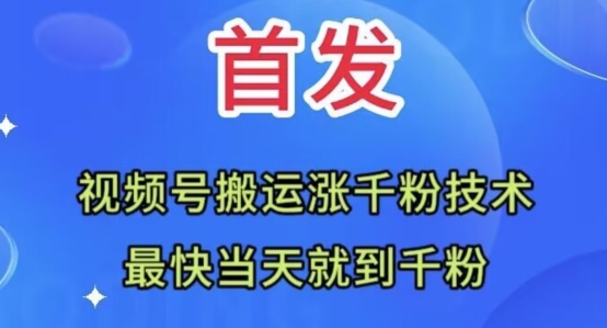 全网首发：视频号无脑搬运涨千粉技术，最快当天到千粉【揭秘】-网创先锋