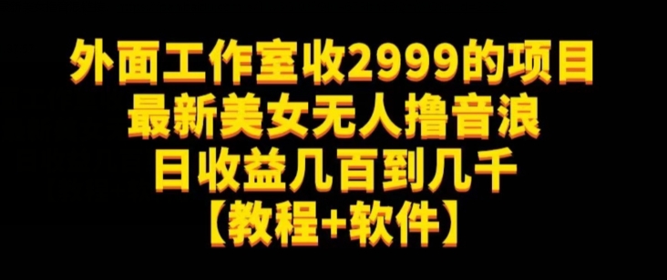 外面工作室收2999的项目最新美女无人撸音浪日收益几百到几千【教程+软件】（仅揭秘）-网创先锋