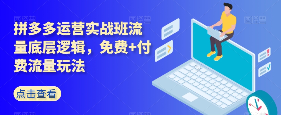 拼多多运营实战班流量底层逻辑，免费+付费流量玩法-网创先锋