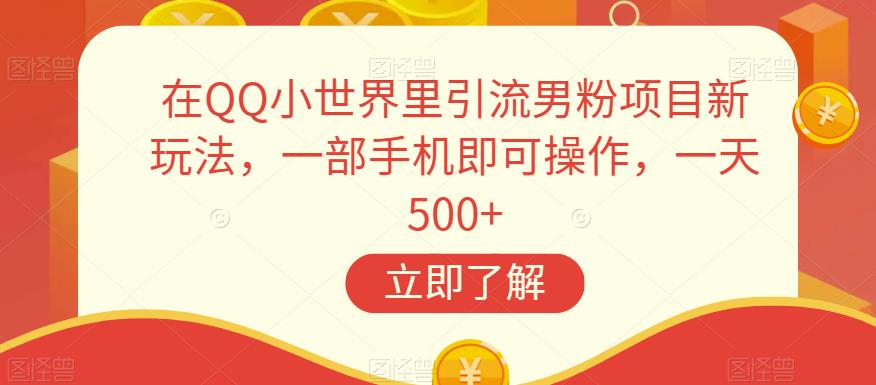 在QQ小世界里引流男粉项目新玩法，一部手机即可操作，一天500+【揭秘】-网创先锋