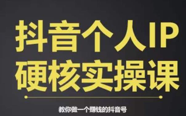 个人IP创富系统实战课，商业定位，流量打造，短视频变现，教你做个赚钱的抖音号-网创先锋