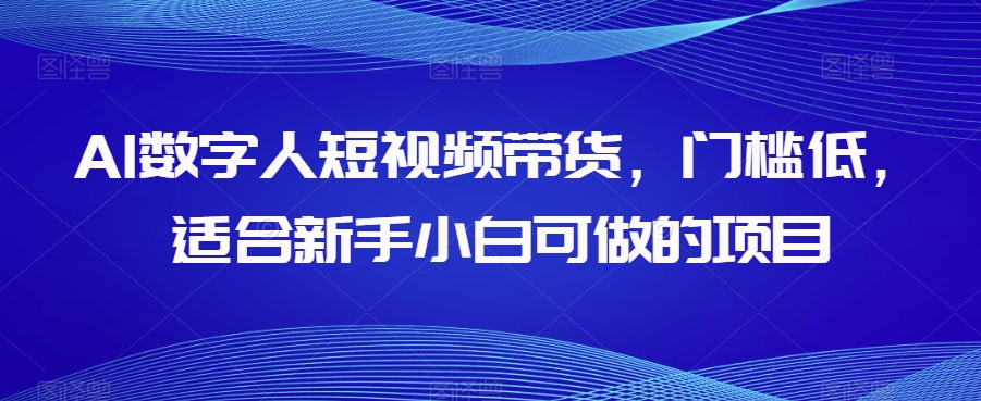 AI数字人短视频带货，门槛低，适合新手小白可做的项目-网创先锋