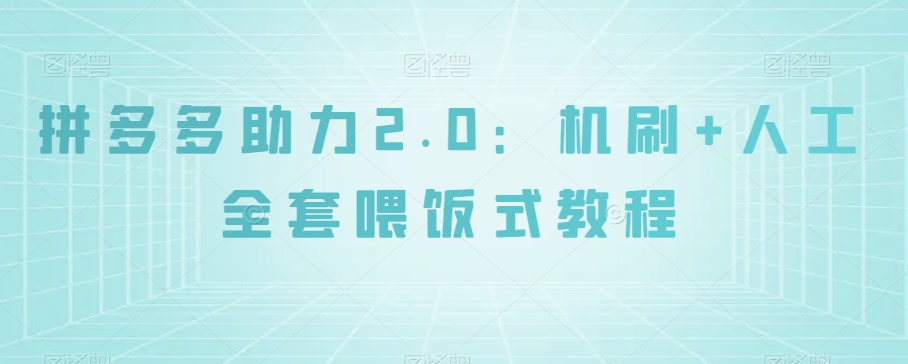 拼多多助力2.0：机刷+人工全套喂饭式教程【揭秘】-网创先锋