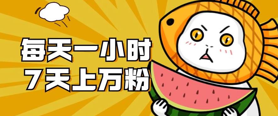 暴力涨粉项目：每天一小时，七天上万粉【揭秘】-网创先锋