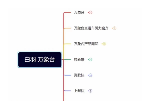 白羽·直引万搜索全篇，从0-1，多个类目实操经验总结付费-网创先锋