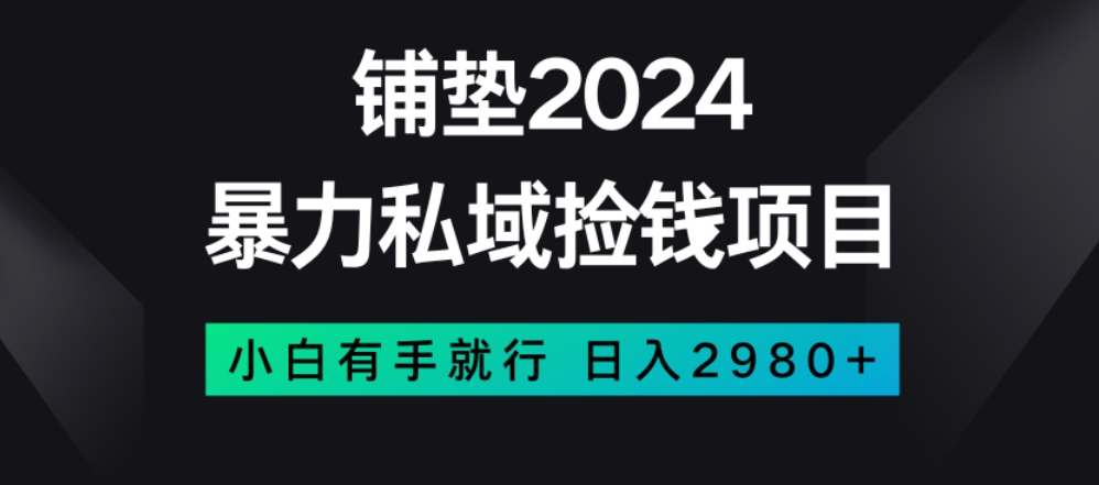 暴力私域捡钱项目，小白无脑操作，日入2980【揭秘】-网创先锋
