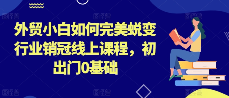 外贸小白如何完美蜕变行业销冠线上课程，初出门0基础-网创先锋