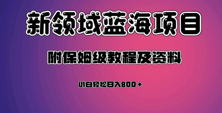 虚拟资源蓝海领域新项目，轻松日入800＋，附保姆级教程及资料-网创先锋
