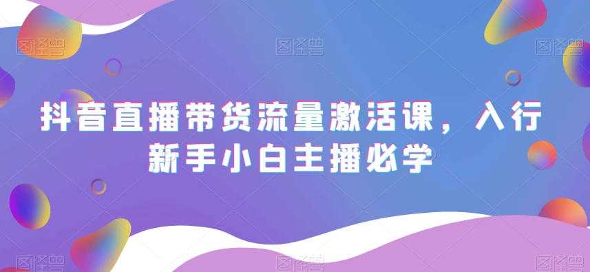抖音直播带货流量激活课，入行新手小白主播必学-网创先锋