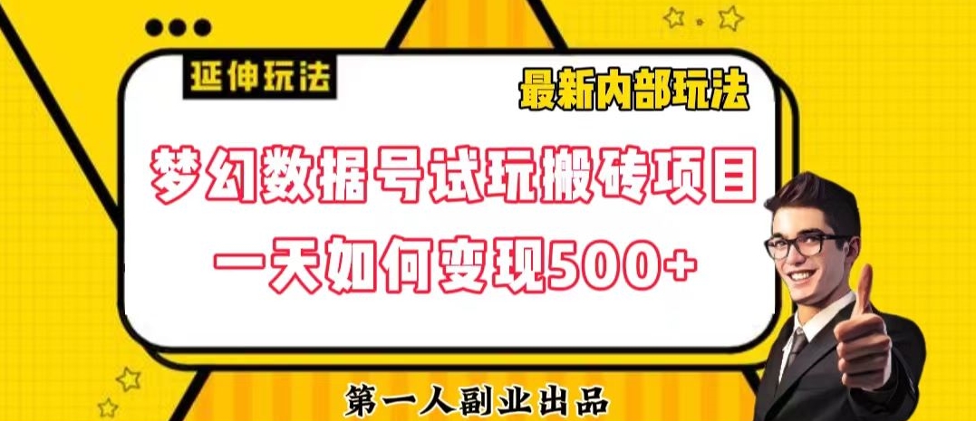 数据号回归玩法游戏试玩搬砖项目再创日入500+【揭秘】-网创先锋