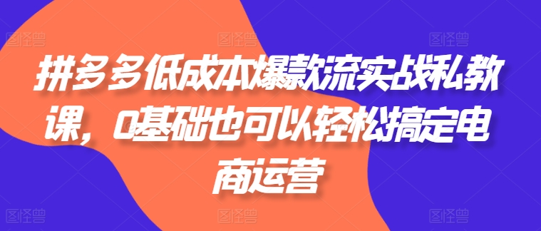 拼多多低成本爆款流实战私教课，0基础也可以轻松搞定电商运营-网创先锋