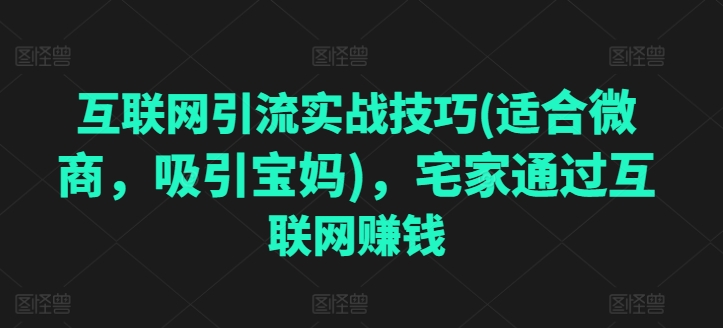 互联网引流实战技巧(适合微商，吸引宝妈)，宅家通过互联网赚钱-网创先锋