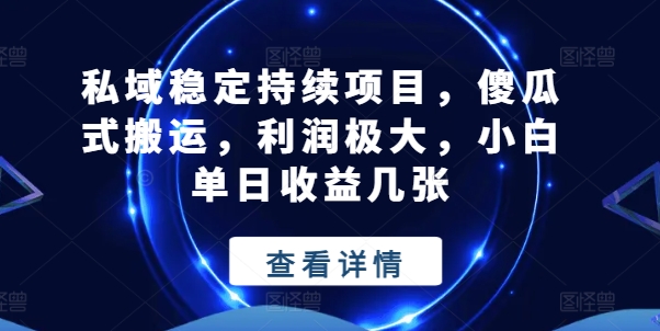 私域稳定持续项目，傻瓜式搬运，利润极大，小白单日收益几张【揭秘】-网创先锋
