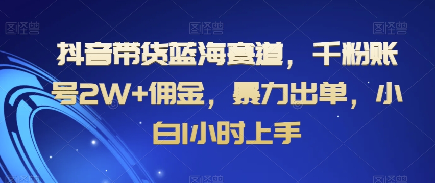 抖音带货蓝海赛道，千粉账号2W+佣金，暴力出单，小白1小时上手【揭秘】-网创先锋