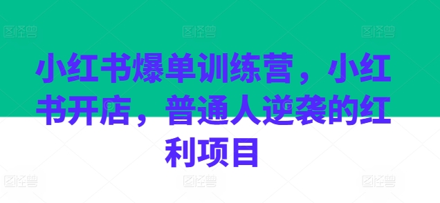 小红书爆单训练营，小红书开店，普通人逆袭的红利项目-网创先锋