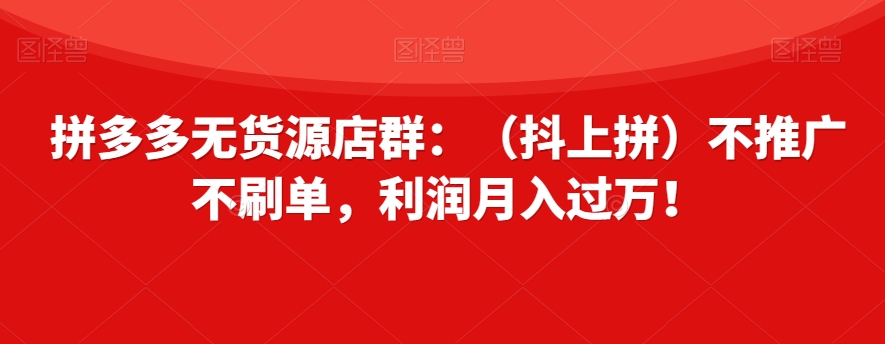 拼多多无货源店群：（抖上拼）不推广不刷单，利润月入过万！【揭秘】-网创先锋