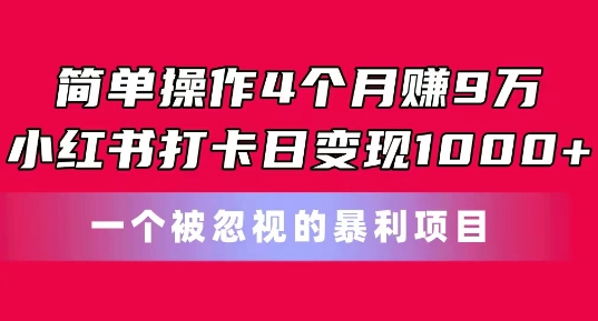 简单操作4个月赚9w，小红书打卡日变现1k，一个被忽视的暴力项目【揭秘】-网创先锋