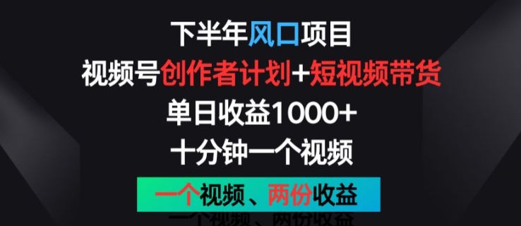 下半年风口项目，视频号创作者计划+视频带货，一个视频两份收益，十分钟一个视频【揭秘】-网创先锋