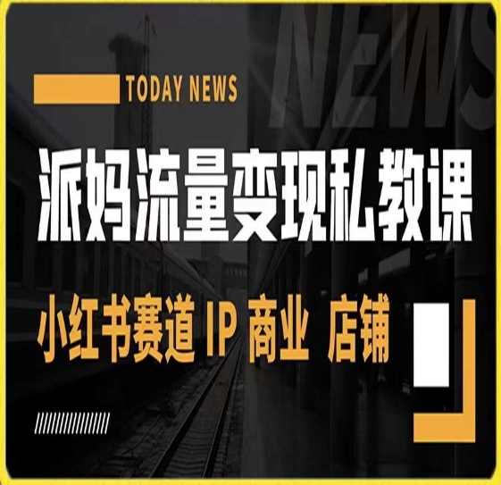派妈流量变现私教课，小红书赛道IP  商业  店铺 -网创先锋