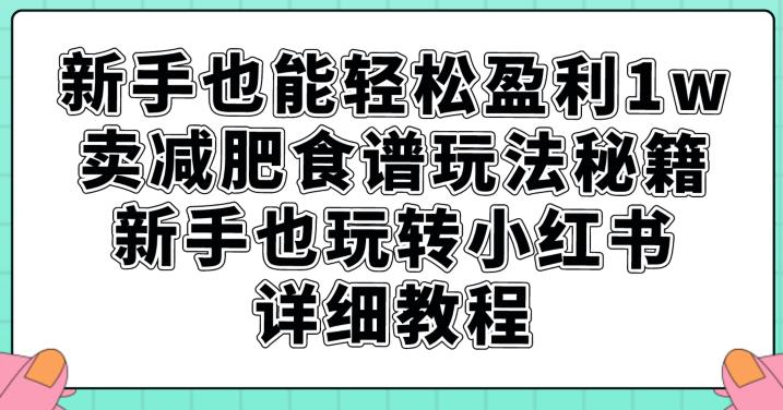 新手也能轻松盈利1w，卖减肥食谱玩法秘籍，新手也玩转小红书详细教程【揭秘】-网创先锋