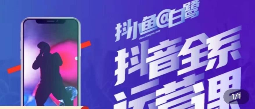 白鹭·主播内训营，运营主播话术起号进阶能力提升-网创先锋