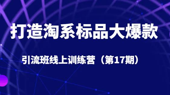 打造淘系标品大爆款引流班线上训练营（第17期）5天直播授课-网创先锋