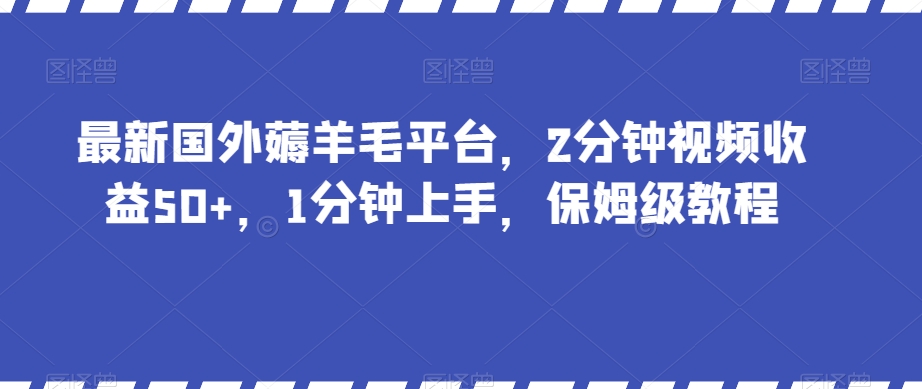最新国外薅羊毛平台，2分钟视频收益50+，1分钟上手，保姆级教程【揭秘】-网创先锋
