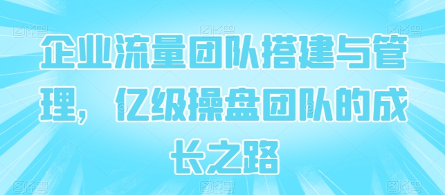 企业流量团队搭建与管理，亿级操盘团队的成长之路-网创先锋
