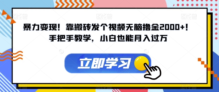 暴力变现！靠搬砖发个视频无脑撸金2000+！手把手教学，小白也能月入过万【揭秘】-网创先锋