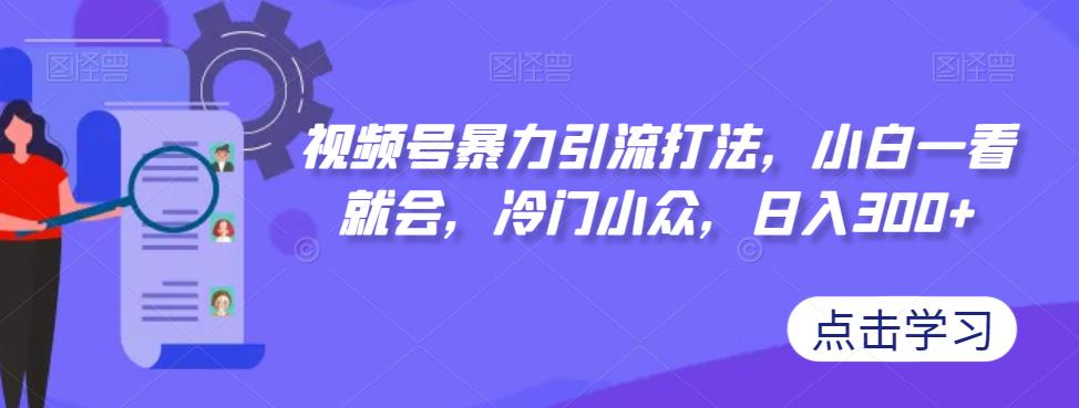 视频号暴力引流打法，小白一看就会，冷门小众，日入300+【揭秘】-网创先锋