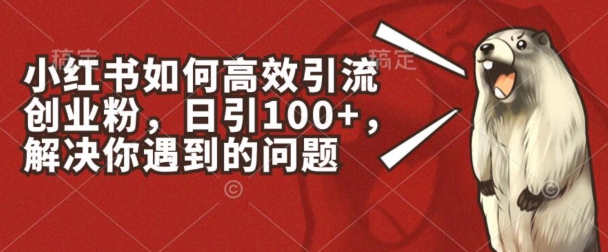 小红书如何高效引流创业粉，日引100+，解决你遇到的问题【揭秘】-网创先锋