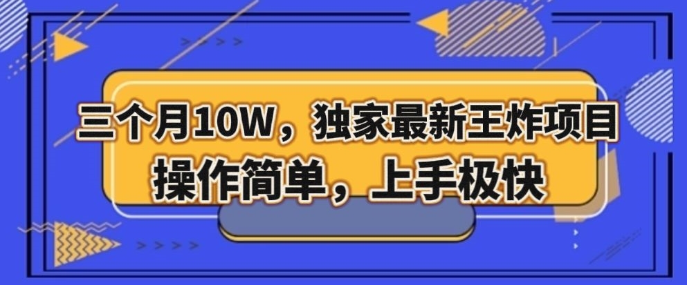 三个月10W，独家最新王炸项目！操作简单，上手极快【揭秘】-网创先锋