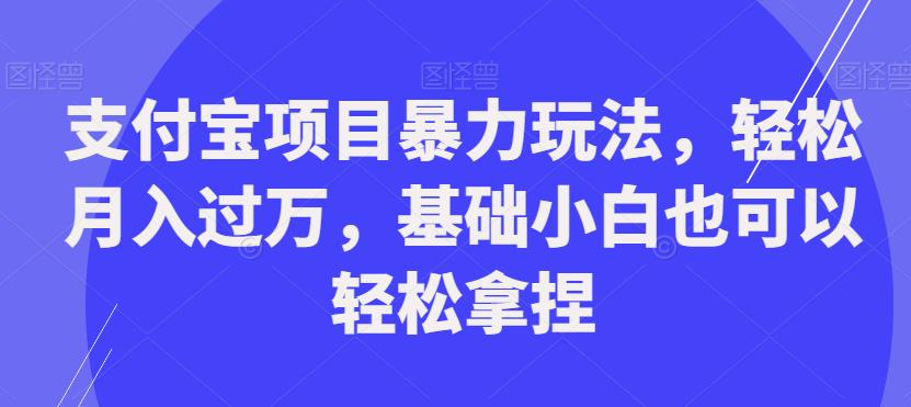 支付宝项目暴力玩法，轻松月入过万，基础小白也可以轻松拿捏【揭秘】-网创先锋