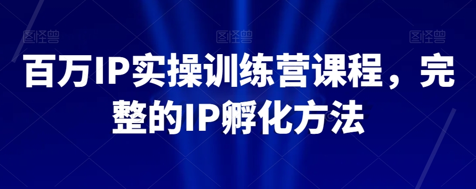 百万IP实操训练营课程，完整的IP孵化方法-网创先锋