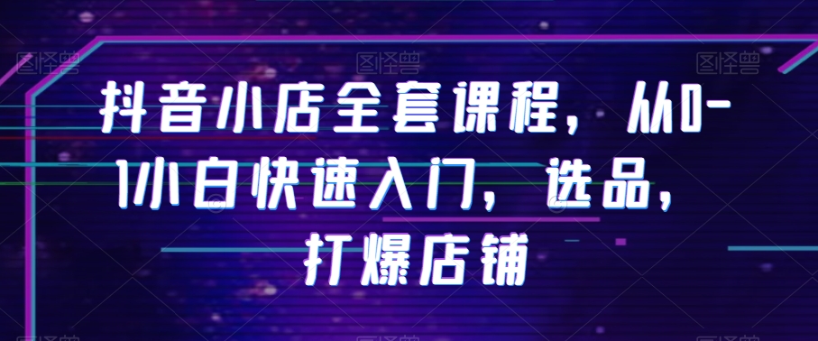 抖音小店全套课程，从0-1小白快速入门，选品，打爆店铺-网创先锋