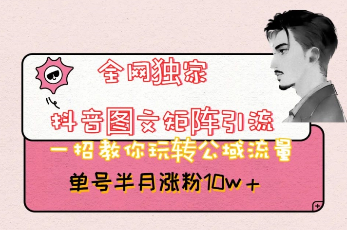 全网独家抖音图文矩阵引流，一招教你玩转公域流量，单号半月涨粉10w+【揭秘】-网创先锋