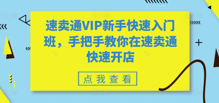 速卖通VIP新手快速入门班，手把手教你在速卖通快速开店-网创先锋