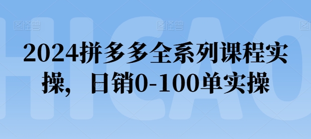 2024拼多多全系列课程实操，日销0-100单实操【必看】-网创先锋