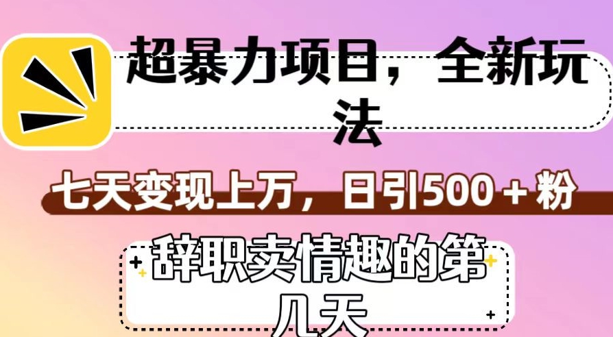超暴利项目，全新玩法（辞职卖情趣的第几天），七天变现上万，日引500+粉【揭秘】-网创先锋