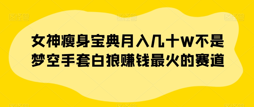 女神瘦身宝典月入几十W不是梦空手套白狼赚钱最火的赛道【揭秘】-网创先锋