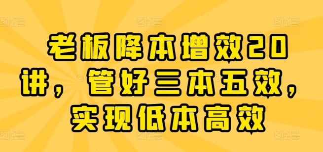 老板降本增效20讲，管好三本五效，实现低本高效-网创先锋