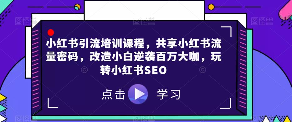 小红书引流培训课程，共享小红书流量密码，改造小白逆袭百万大咖，玩转小红书SEO-网创先锋