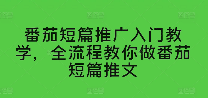 番茄短篇推广入门教学，全流程教你做番茄短篇推文-网创先锋