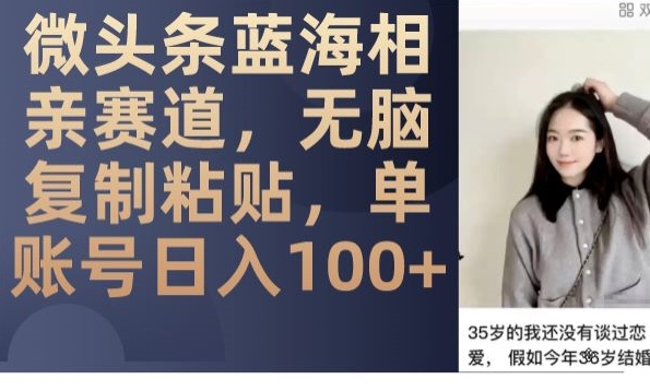 微头条蓝海相亲赛道，无脑复制粘贴，单账号日入100+-网创先锋