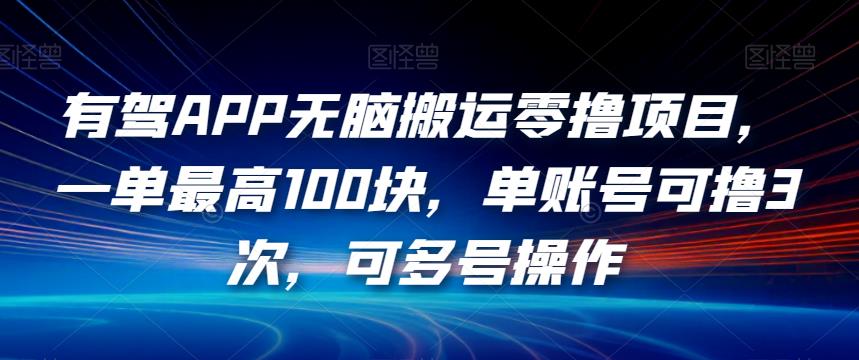 有驾APP无脑搬运零撸项目，一单最高100块，单账号可撸3次，可多号操作【揭秘】-网创先锋