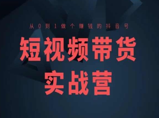 短视频带货实战营(高阶课)，从0到1做个赚钱的抖音号-网创先锋