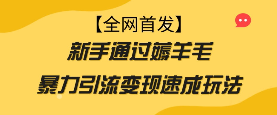 【全网首发】新手通过薅羊毛暴力引流变现速成玩法-网创先锋