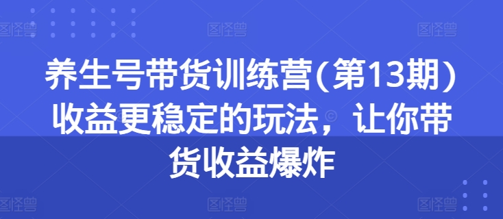 养生号带货训练营(第13期)收益更稳定的玩法，让你带货收益爆炸-网创先锋
