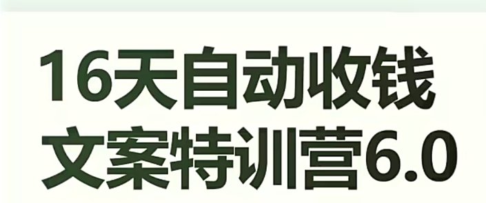 16天自动收钱文案特训营6.0，学会儿每天自动咔咔收钱-网创先锋